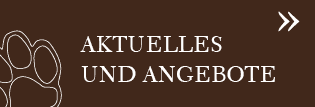 Aktuelles und Angebote